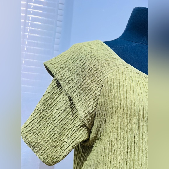 BNWT Crinkly Cotton Dress - Picture 2 of 4